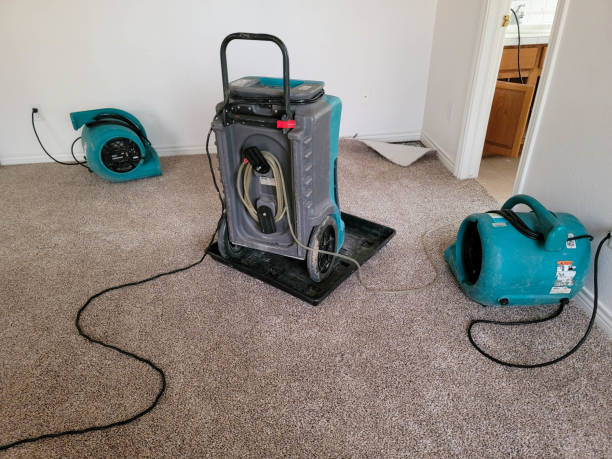 Best Ceiling water damage repair  in Rose Hills, CA