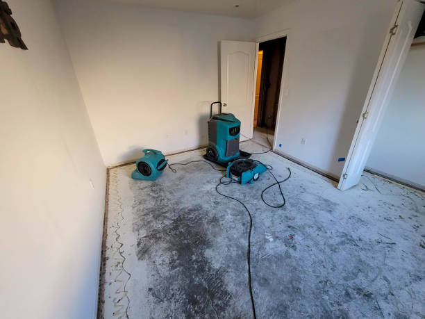 Best Water damage restoration near me  in Rose Hills, CA