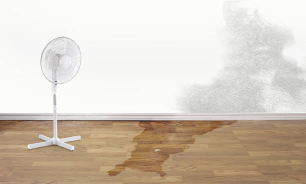 Best 24-hour water damage restoration  in Rose Hills, CA