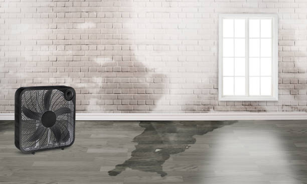 Best Residential water damage restoration  in Rose Hills, CA