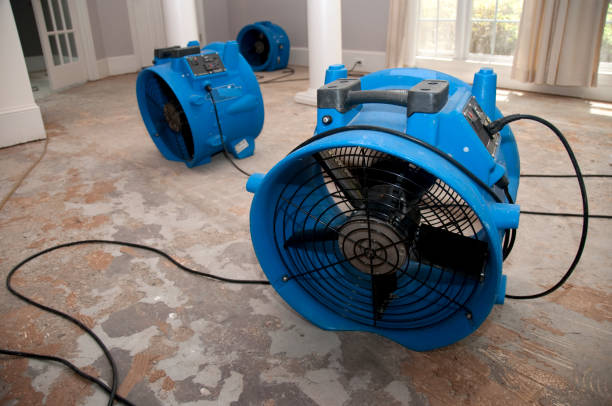 Best Carpet water damage restoration  in Rose Hills, CA