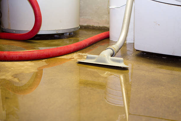 Best Flood damage cleanup  in Rose Hills, CA