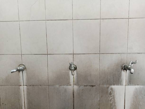 Best Flooded house restoration  in Rose Hills, CA