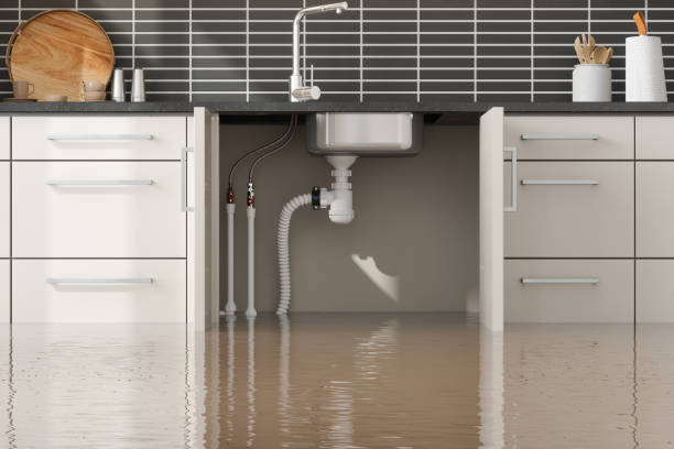 Best Local water damage restoration  in Rose Hills, CA