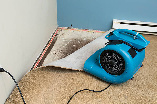 Best Emergency water damage restoration  in Rose Hills, CA